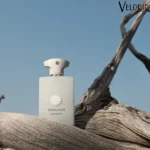 عطر ادکلن آمواج دسیژن