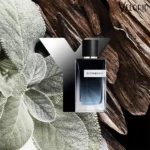 عطر ادکلن ایو سن لورن وای